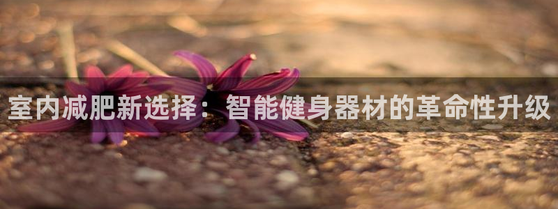 tp钱包BSC转到TRC：室内减肥新选择：智能健身器材的革命