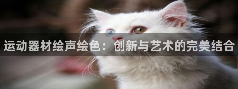 tp钱包安装：运动器材绘声绘色：创新与艺术的完美结合