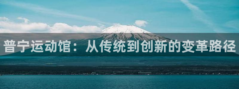 TPT钱包怎么使用：普宁运动馆：从传统到创新的变革路径
