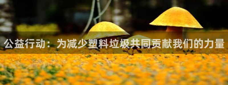 TP钱包app下载TOKenPOCket：公益行动：为减少塑