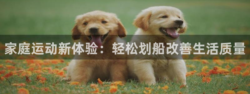 tpay钱包官网：家庭运动新体验：轻松划船改善生活质量