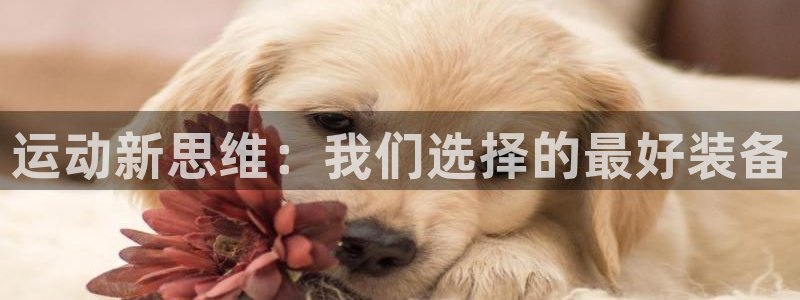 tp官网钱包：运动新思维：我们选择的最好装备