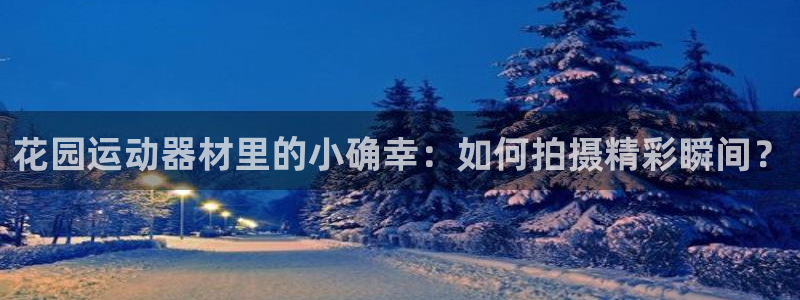 tp钱包app下载安卓：花园运动器材里的小确幸：如何拍摄精彩